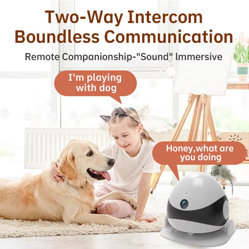 Wireless 2K HD Mobile Pet Comp - Home Cinema Hd review and price