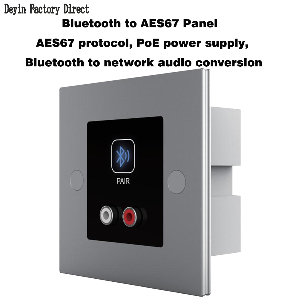 PoE AES67 Network Audio Conver - Wall Mount Speaker review and price