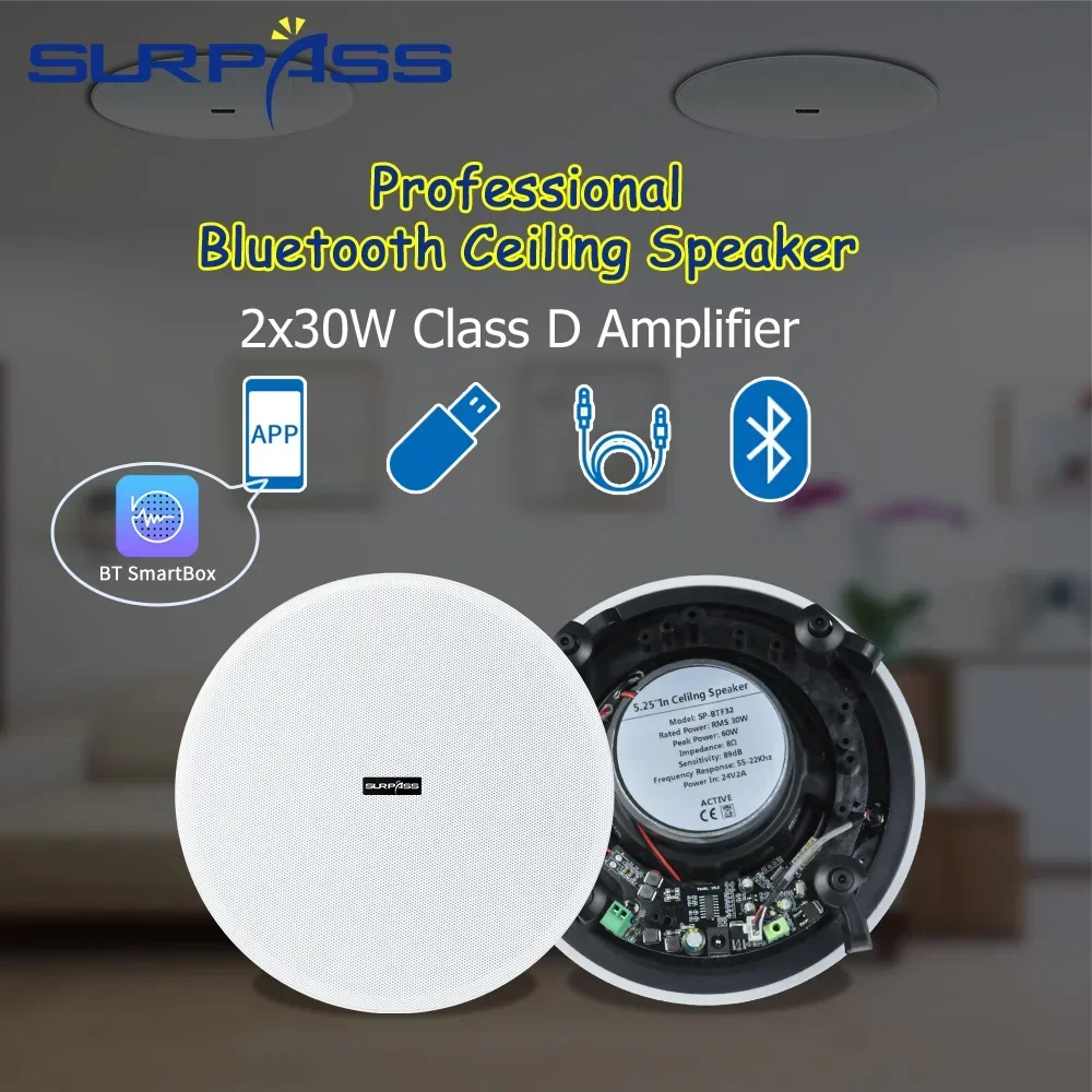 Ceiling Bluetooth Speaker 5.25 - Home Cinema Bluetooth 5.1 review and price