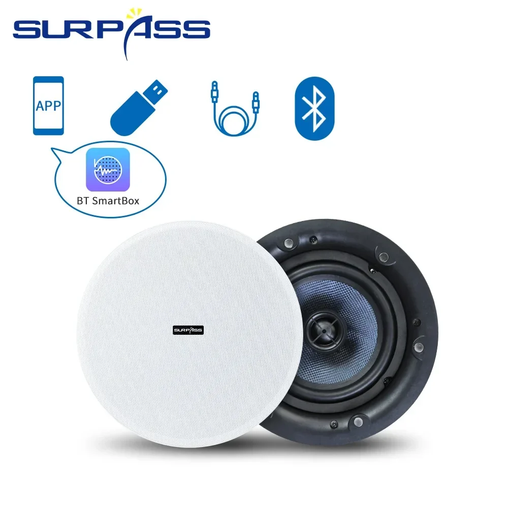 Ceiling Bluetooth Speaker 5.25 - Home Cinema Bluetooth 5.1 review and price
