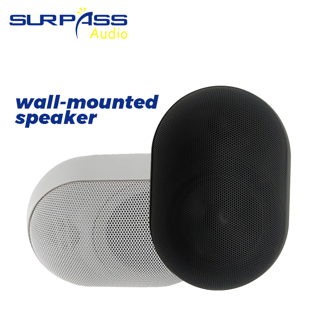 30W Wall-mounted Speaker Water - Wall Mount Speaker review and price