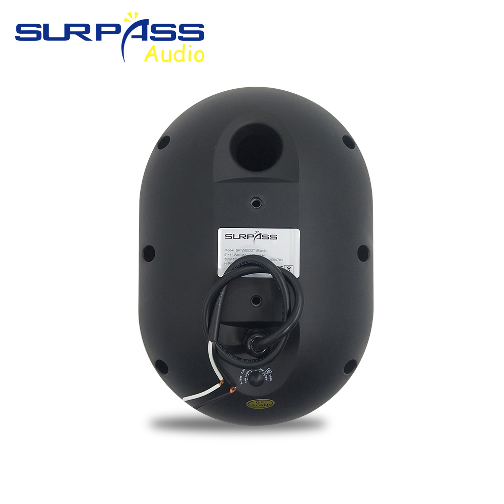 30W Wall-mounted Speaker Water - Wall Mount Speaker review and price